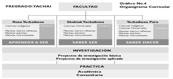 Programa de pregrado