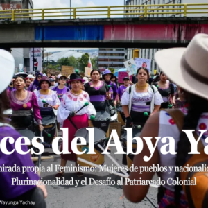 Una mirada propia al Feminismo: Mujeres de pueblos y nacionalidades, Plurinacionalidad y el Desafío al Patriarcado Colonial