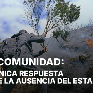 LA COMUNIDAD: LA ÚNICA RESPUESTA ANTE LA AUSENCIA DEL ESTADO