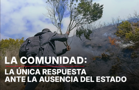 LA COMUNIDAD: LA ÚNICA RESPUESTA ANTE LA AUSENCIA DEL ESTADO