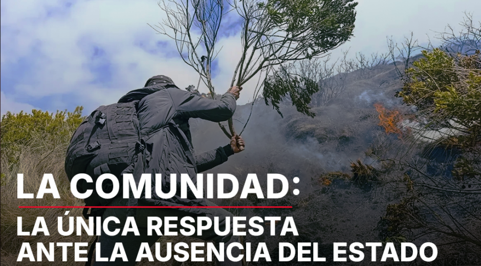 LA COMUNIDAD: LA ÚNICA RESPUESTA ANTE LA AUSENCIA DEL ESTADO